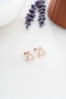 Heliophilia Silver Pendientes de Plata de Ley 925 Oro Rosa y Blanco